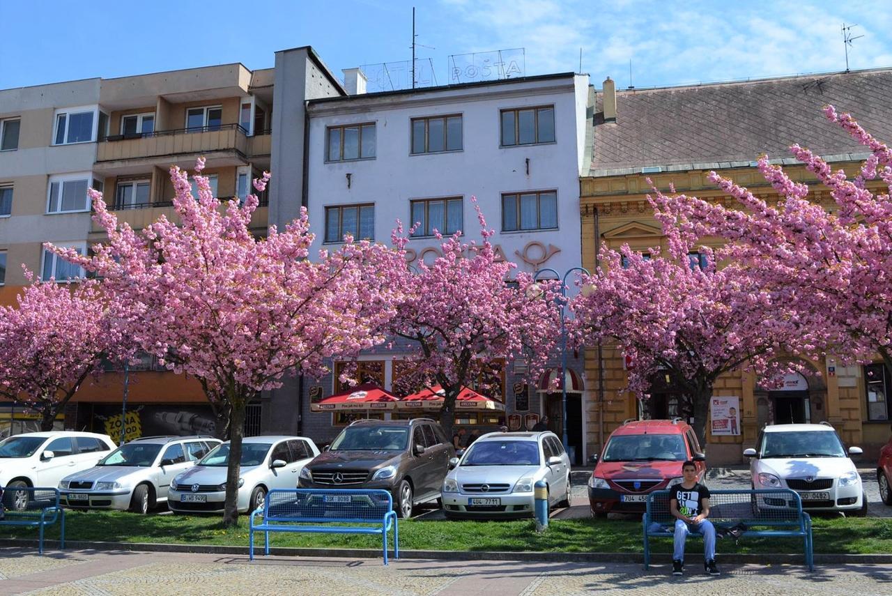 Hotel Posta Decin Exteriör bild